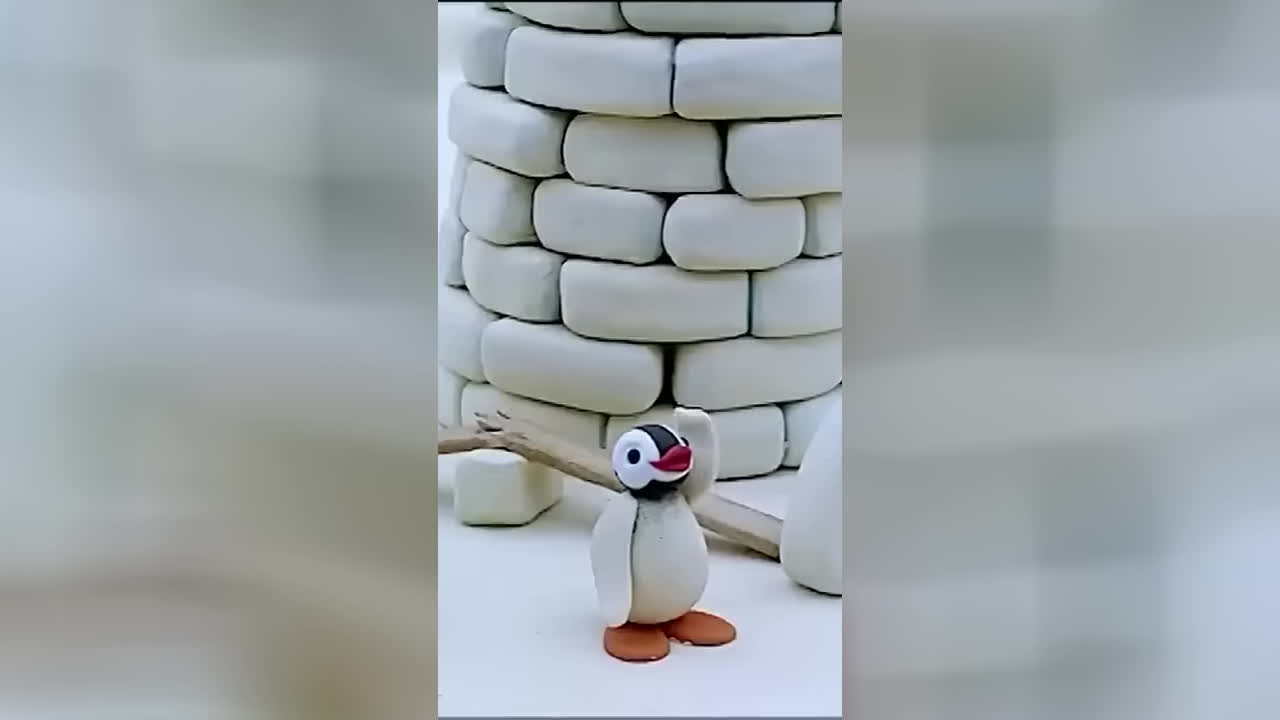 زمان تغذیه حیوانات! 🐧 #پینگو