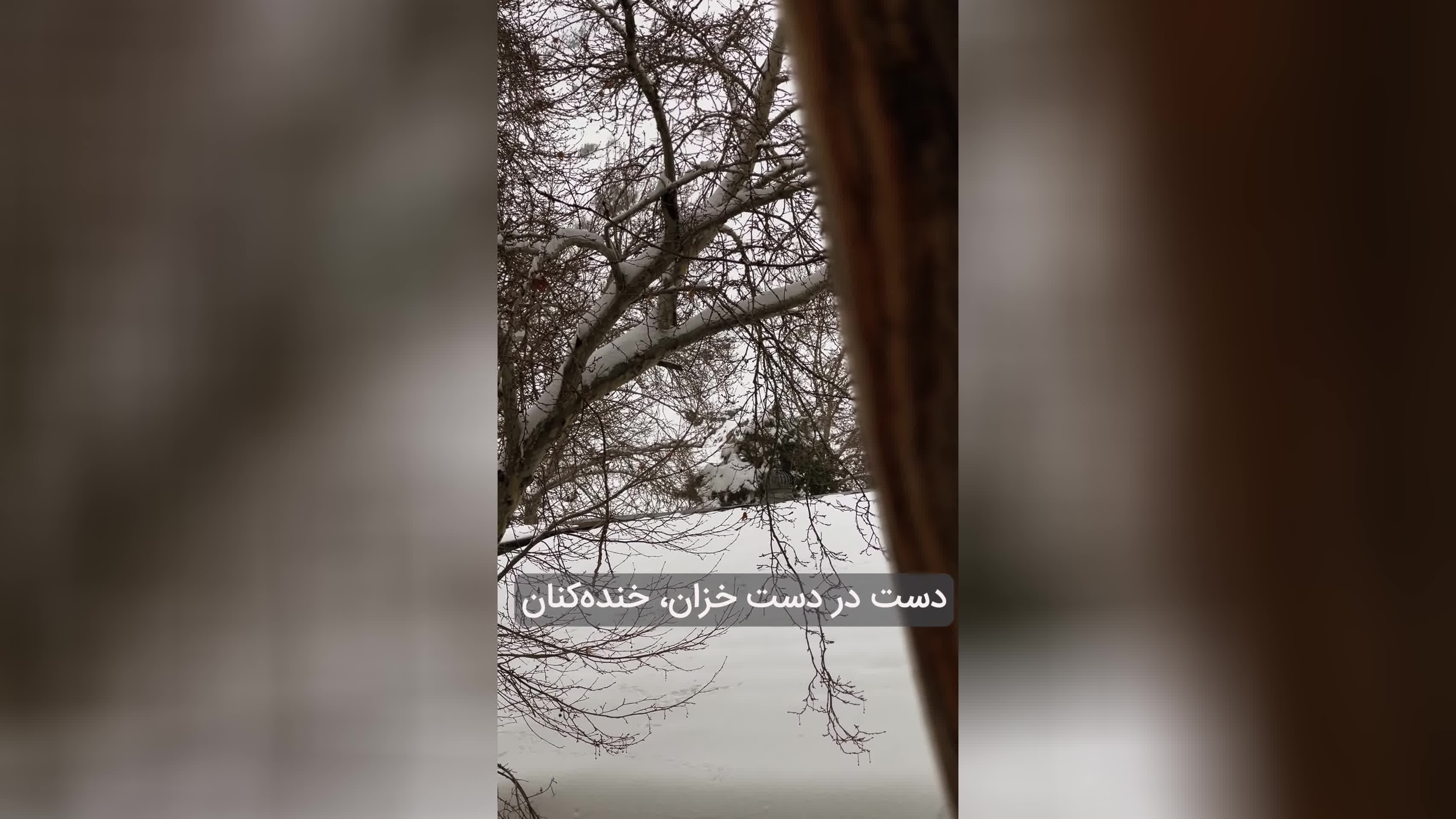 پوستر گو چه رازی است در این موج مه‌آلود نگاهت homayoun_shajarian