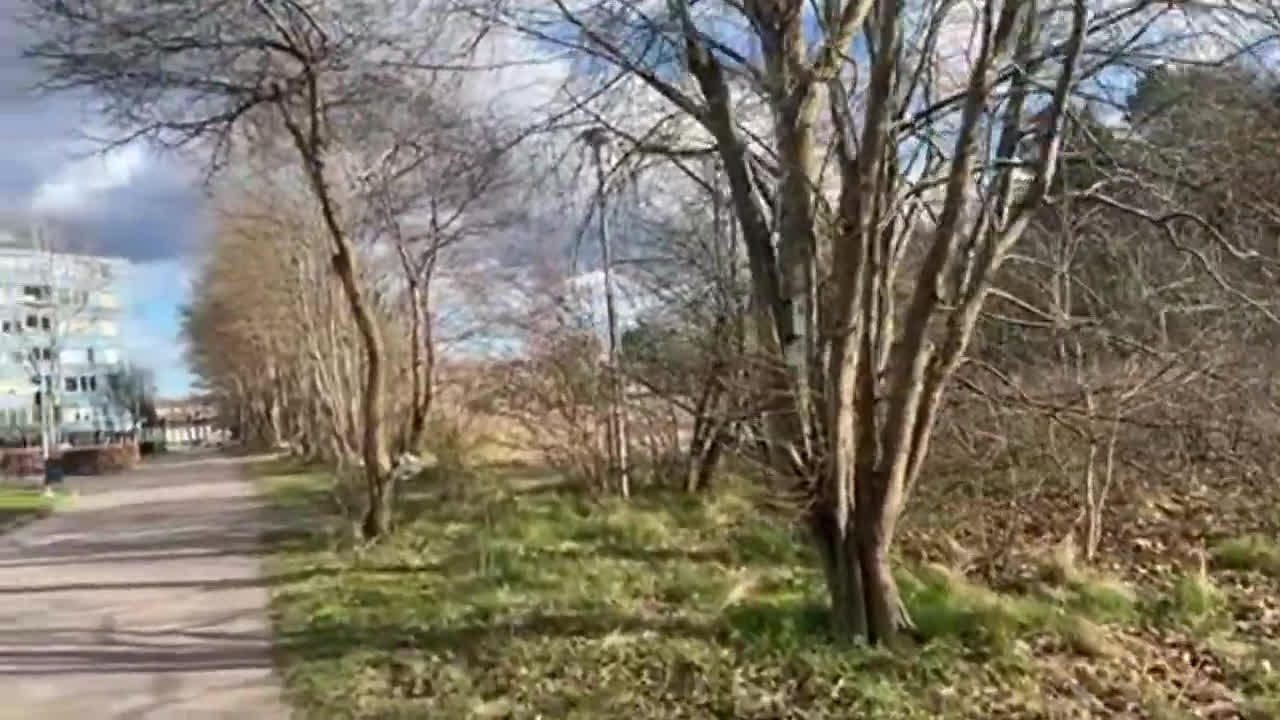 پوستر گردش و پیاده‌روی با رویا