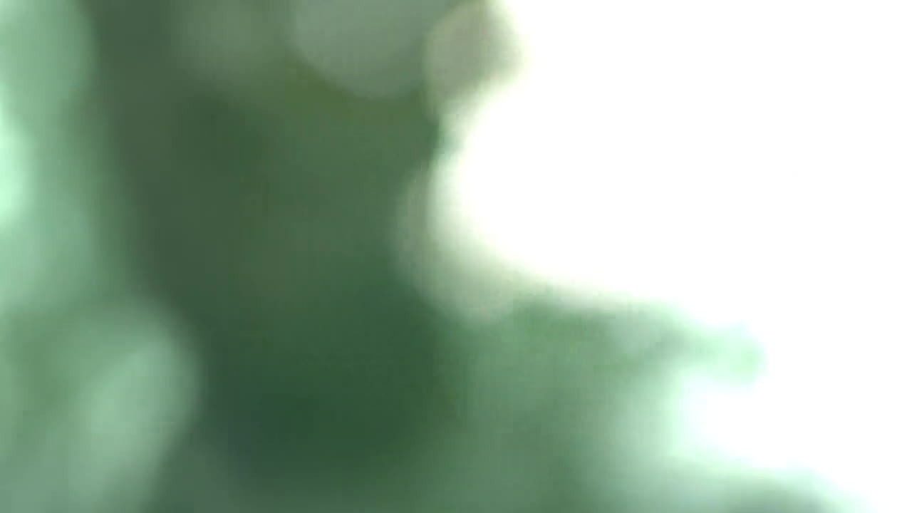 ..::سریال مردگان متحرک فصل 2 قسمت 5 ،کیفیت 720،دوبله فارسی::..