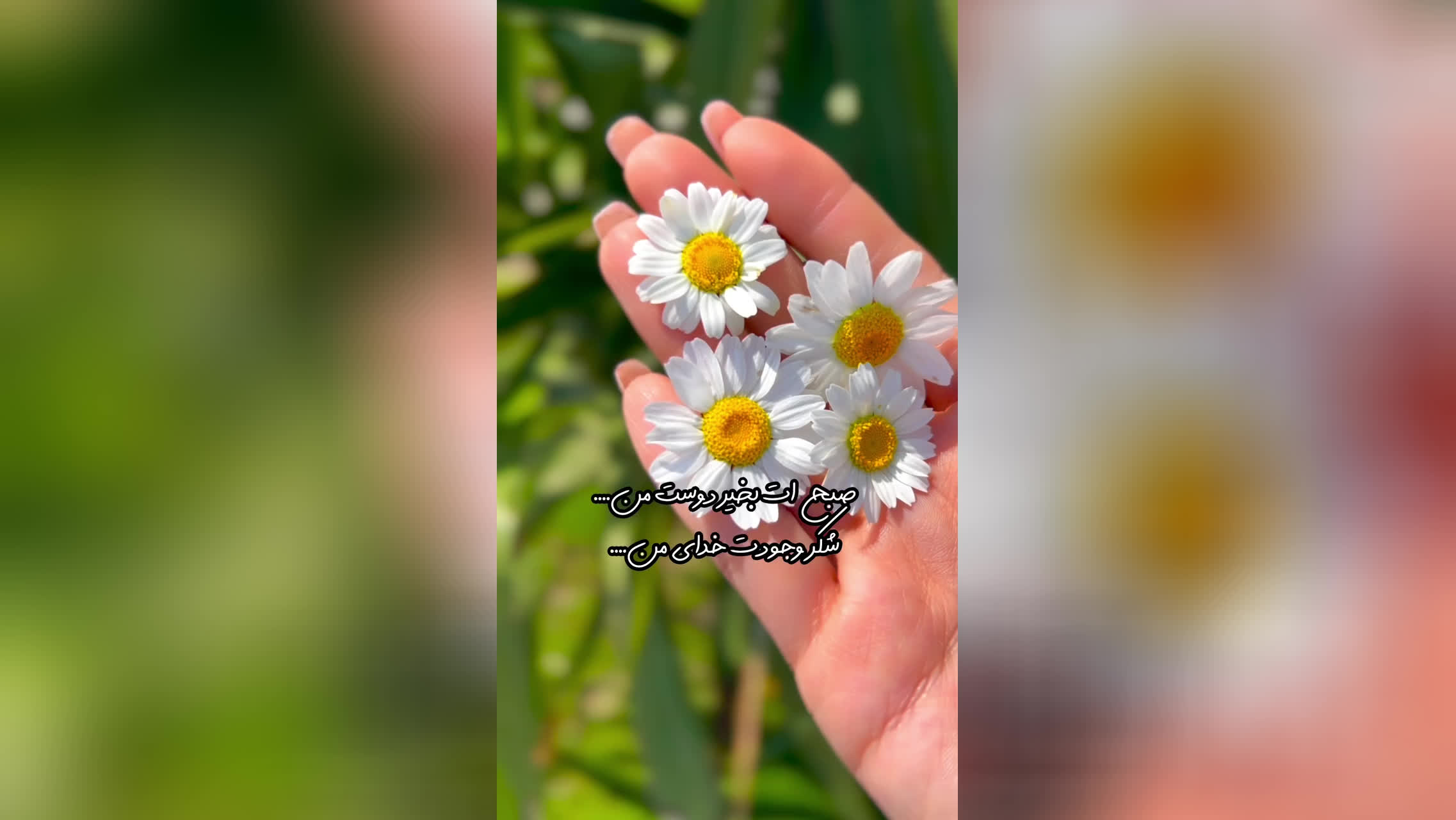 پوستر صبح ات بخیر ای دوست من...