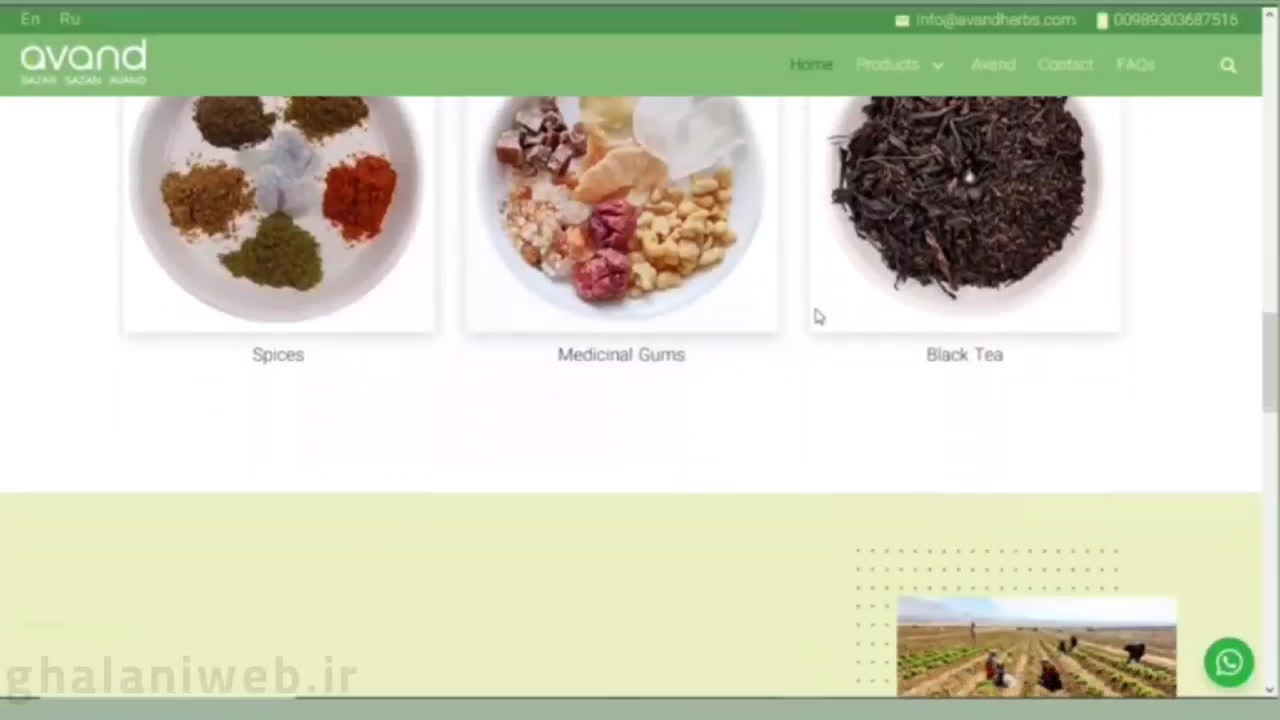 ساخت سایت وردپرس