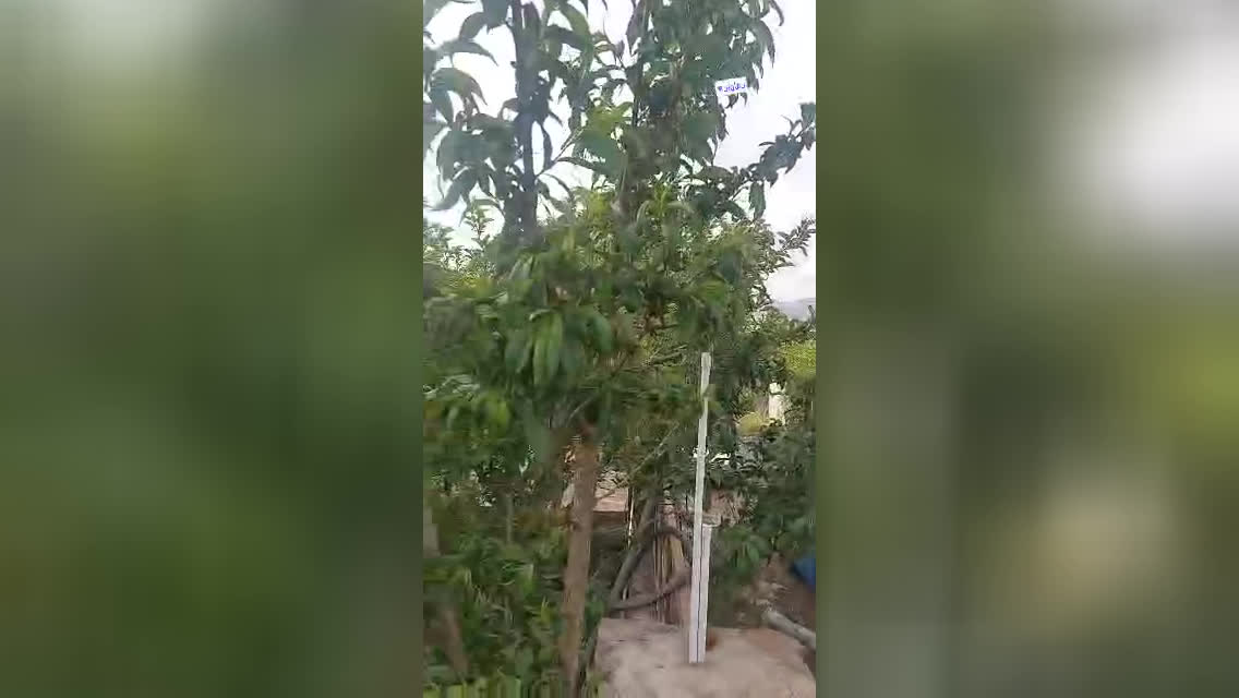 پوستر شارژ مخزن گاز مایعLPG