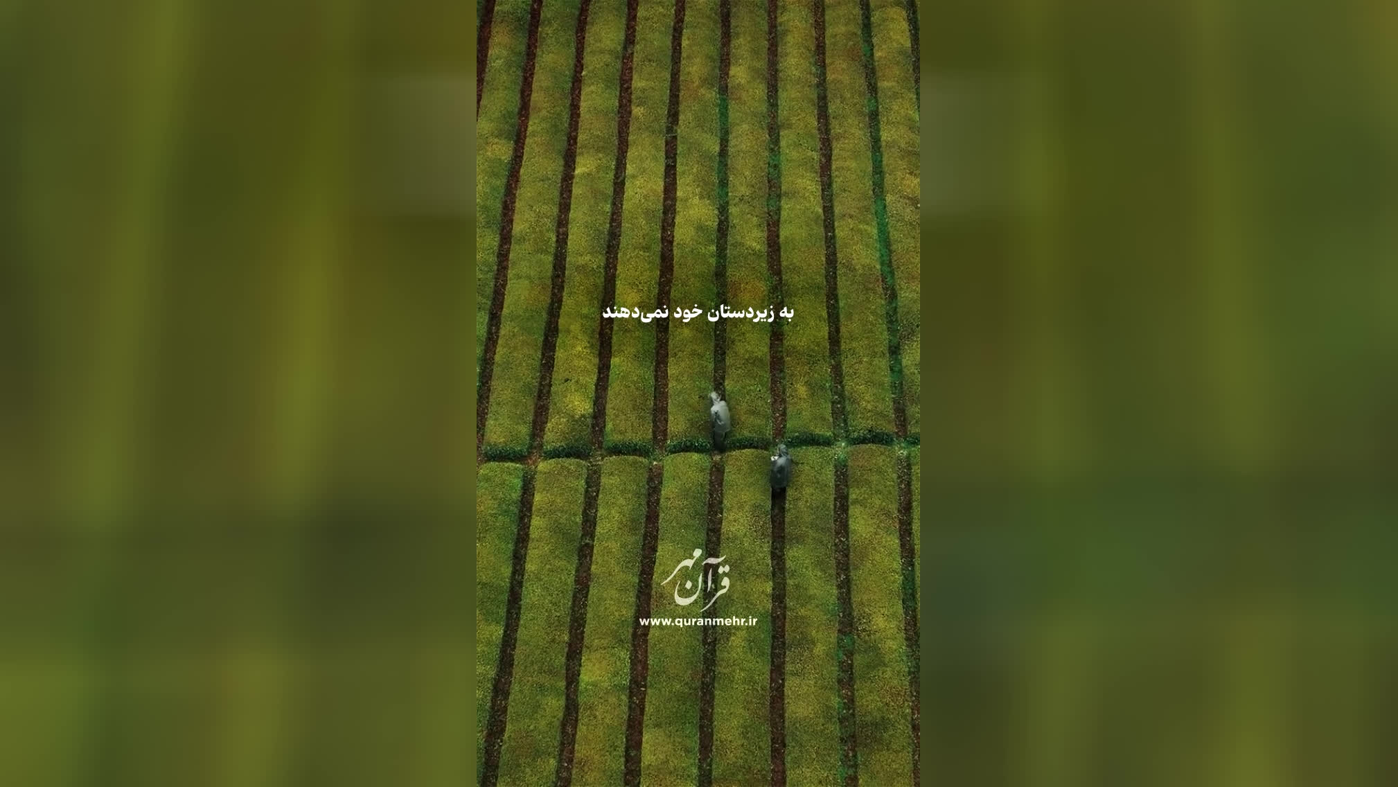 امتحان الهی - سوره نحل آیه 71 (قرآن مهر)