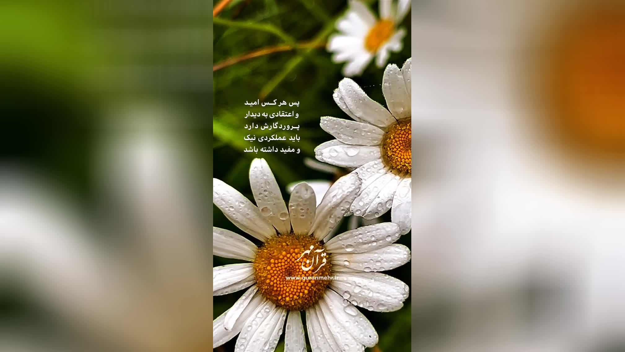 عملکرد نیک - سوره کهف آیه 110 (قرآن مهر)